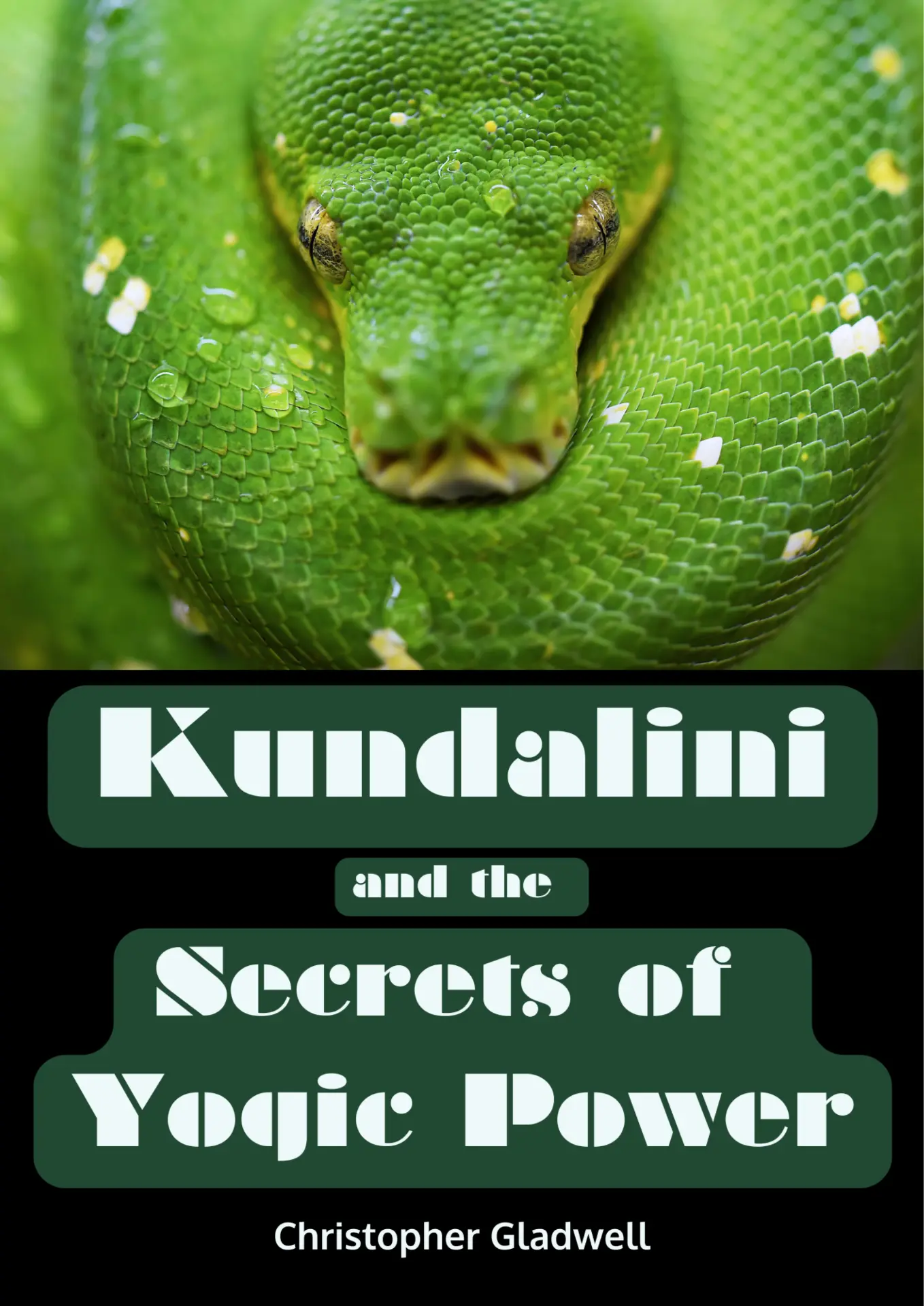 Front cover of Kundalini & The Secrets of Yogic Power by Christopher Gladwell