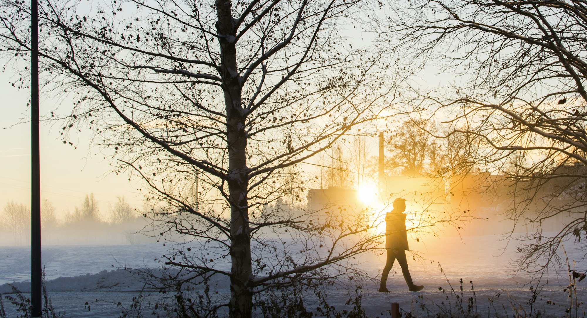 A person walking in silhouette at golden hour