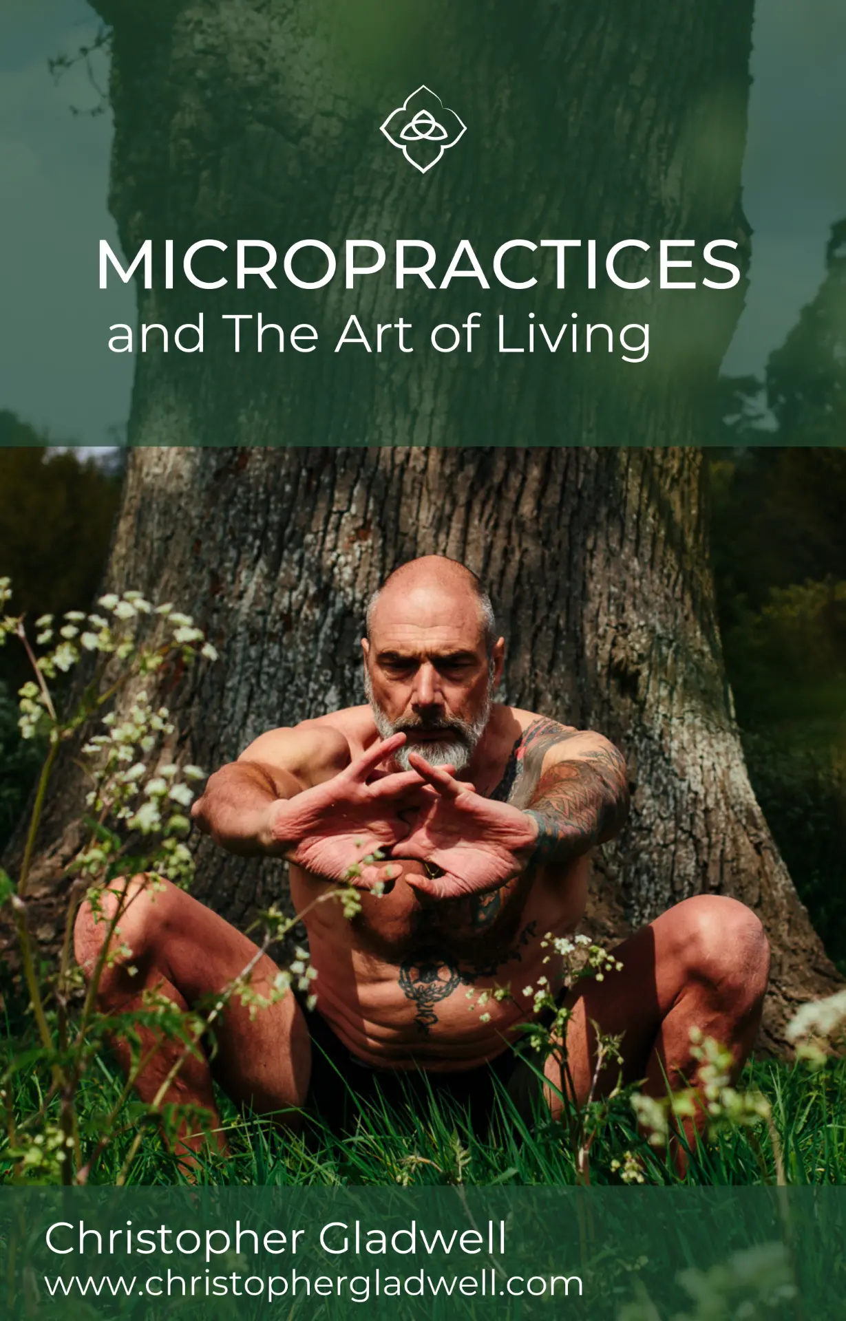Front cover of Micropractices and the Art of Living by Christopher Gladwell